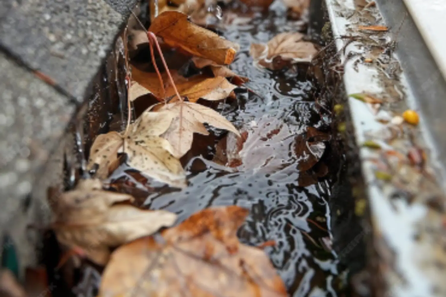 Dangers of Clogged Gutters